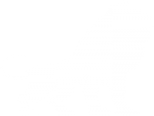 White Lion